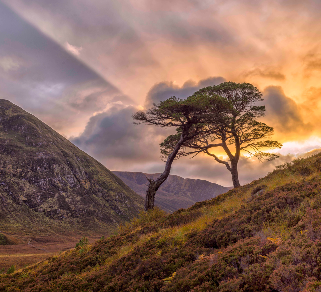 Lodha_Times_Family_Holidays_Scotland